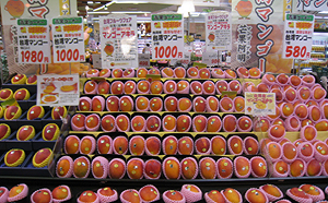 稱檢出介殼蟲 中國今起禁台芒果 農業部：中方已多次任意中斷貿易