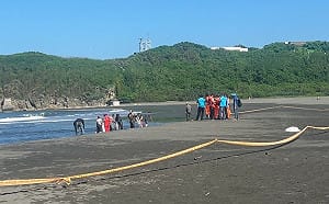 旗津海水浴場沙灘染油   港務公司緊急警戒清除油污