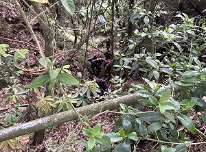男嘉義深山打獵不慎墜谷 同行友人發現時已身亡