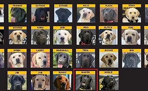 我第1隻電子產品偵測犬亮相 911開始打擊犯罪