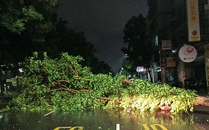 海葵欲走還留   高雄仍須提防短時強降雨