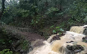 海葵豪雨釀災！雙流園區現黃泥瀑布  林業署：「4園區」仍不開放