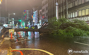 海葵颱風台南僅傳零星災情 災後迅速恢復市容交通