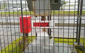 大亞灣核輻射空氣數值竟是福島3倍 專家尷尬解釋「這原因」所致....