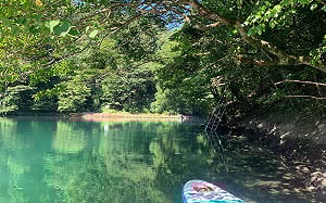 體驗採山葵、和紙DIY！到東京多摩親近大自然放鬆身心