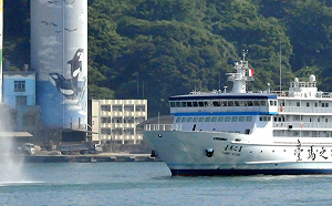 馬祖濃霧！航班起降受影響 航港局：海運仍正常開航