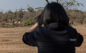 (影)蔡英文看完獅子大象後 結束非洲史瓦帝尼王國之旅 