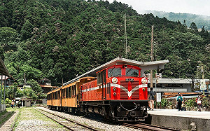 中秋搶票遊阿里山！連假車票9/15開訂 調整班次看這裡