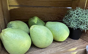 懶人包》中秋吃文旦!3大柚子熱量一次看懂  營養師:一次最多吃5至6瓣