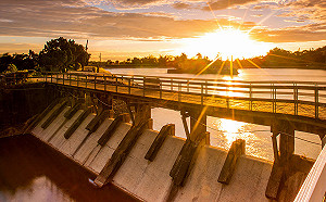 虎頭埤寵物健行9/24登場！9/11網路報名1寵1車5人免費入園