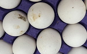 進口蛋逾4個月還賣?農業部稱有塗食用臘沒問題 網轟：我ok你先吃