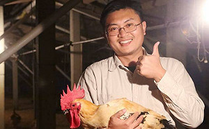 議員譏「把雞蛋當iPhone上膜」？ 資深雞農回應了：美國早就這麼做