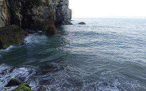 天使輪「抽油前置作業」全部完成！港務公司：今晚持續抽油工作