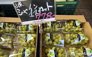 劉黎兒觀點》移轉中國內部政經混亂操作反日情結 麝香葡萄、高價魚貝反成「微幸福」