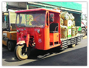 減輕農民負擔  蘇花中斷期間農糧署補助蔬果運費