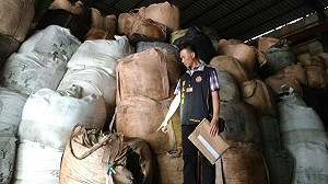 中橡違法清運有毒廢油泥  廠長50萬交保