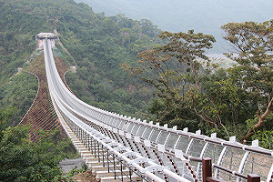 自己的道路自己選！票選出你最認同的公共運輸方式