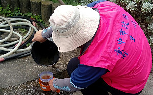 防治登革熱  衛生機構籲雨後加強清除孳生源