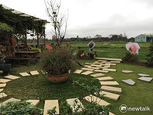 災後清潔需知！「巡、倒、清、刷」慎防病媒蚊孳生