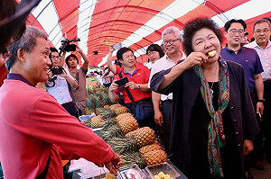 金鑽鳳梨 玉荷包大出了  陳菊  劉世芳合力推