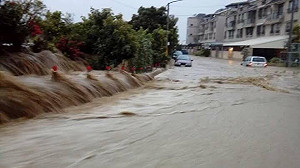 豪雨成災　目前為止農損6千7百多萬