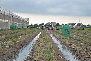 最新豪雨災情！農委會：全台農畜產損失超過兩億元