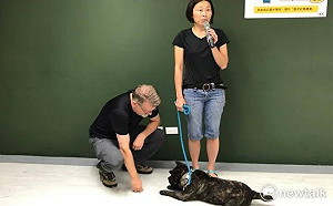 北市貓犬學校暑期班開放報名！毛爸媽也要乖乖上課