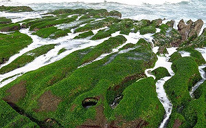 新北市哪裡好玩？韓國知名部落客告訴你