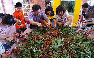 農夫PK電競選手！玉荷包型農VS電競選手的傳說對決在高雄
