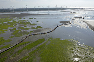 曾共挺動物保育   林佳龍遺憾齊柏林罹難