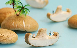 超萌藝術展！療癒系動畫小物融化你的心