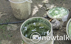 屏縣第5人！ 登革熱增1境外移入病例