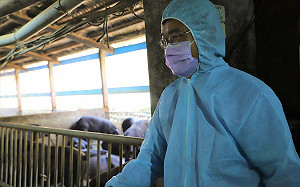 陳吉仲走人「無關是非對錯 是大選必然」媒體人：他對得起萬丹老家與養豬爸爸