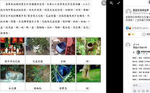 登革熱病媒蚊不住在水稻田裡！陳以信慘被洗臉