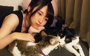 愛貓病重一度考慮「安樂死」  小熊爆哭：生命的重量太重了
