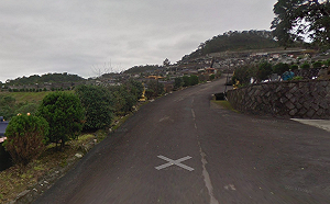 瑞芳山區登山客再遭蜂群攻擊！基隆消防局：3女1男遭螫傷