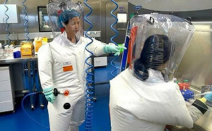 是石頭也該開口了!  石正麗稱2019前不知有新冠病毒 網友貼圖打臉