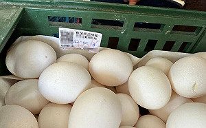 藍議員揭涂萬財是「國軍蛋供應大戶」國防部：已研擬要求停止供應