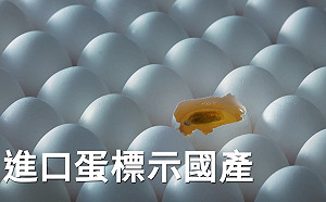 只辦民不辦官？ 侯友宜競辦批：進口蛋爭議重重黑幕官官相護