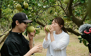 鎖定日本遊客體驗農遊 苗縣府邀網紅三本JAPAN現身宣傳