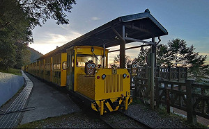 小犬最快深夜發海警！太平山10/3下午16時起預警性休園