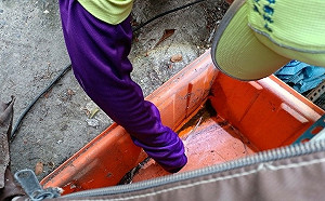 高雄本土登革熱＋29 今年確診個案來到600例