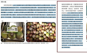 Lin bay好油爆抄襲 網驚完全copy最愛攻擊的農業部