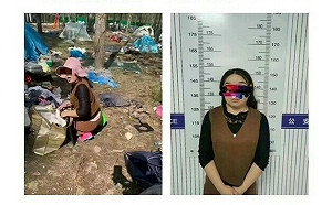 市委書記就在現場也擋不了！ 迷笛音樂節「零元購」猖狂 追回兩卡車贓物