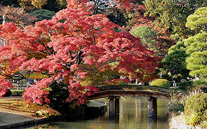 享受日式懷舊風情！東京巢鴨4大必訪景點一次看