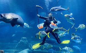 懶人包》穿「藍白紅」衣服免費入園！國慶連假20大遊樂園優惠一次看