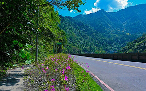 國慶連假第3天！省道15條地雷路段一次看