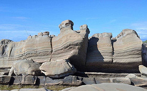 大眼蛙、龜陣岩！東海岸2處最美地質公園探險去