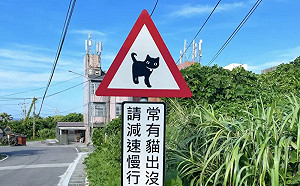 PO推特秒爆紅！日人來台見1號誌驚呼太可愛