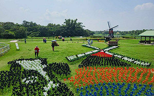體驗台南特色美食、拍美照！3大熱門活動本週末登場